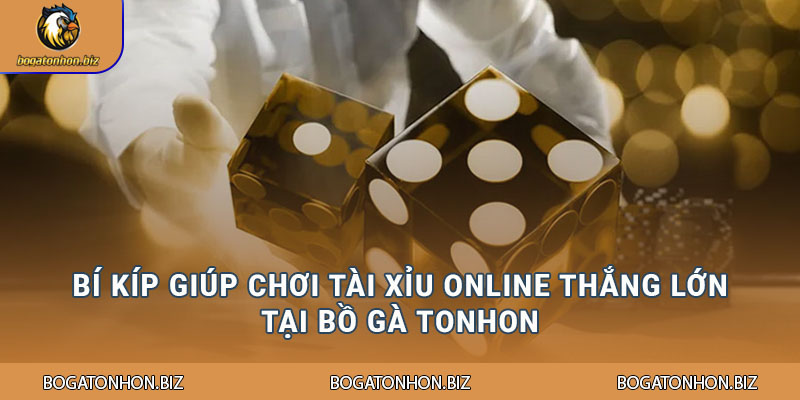 Tài Xỉu Online - Trải Nghiệm Đỉnh Cao Cờ Bạc Trực Tuyến 3 Bí kíp giúp chơi tài xỉu online thắng lớn tại Bồ Gà Tonhon